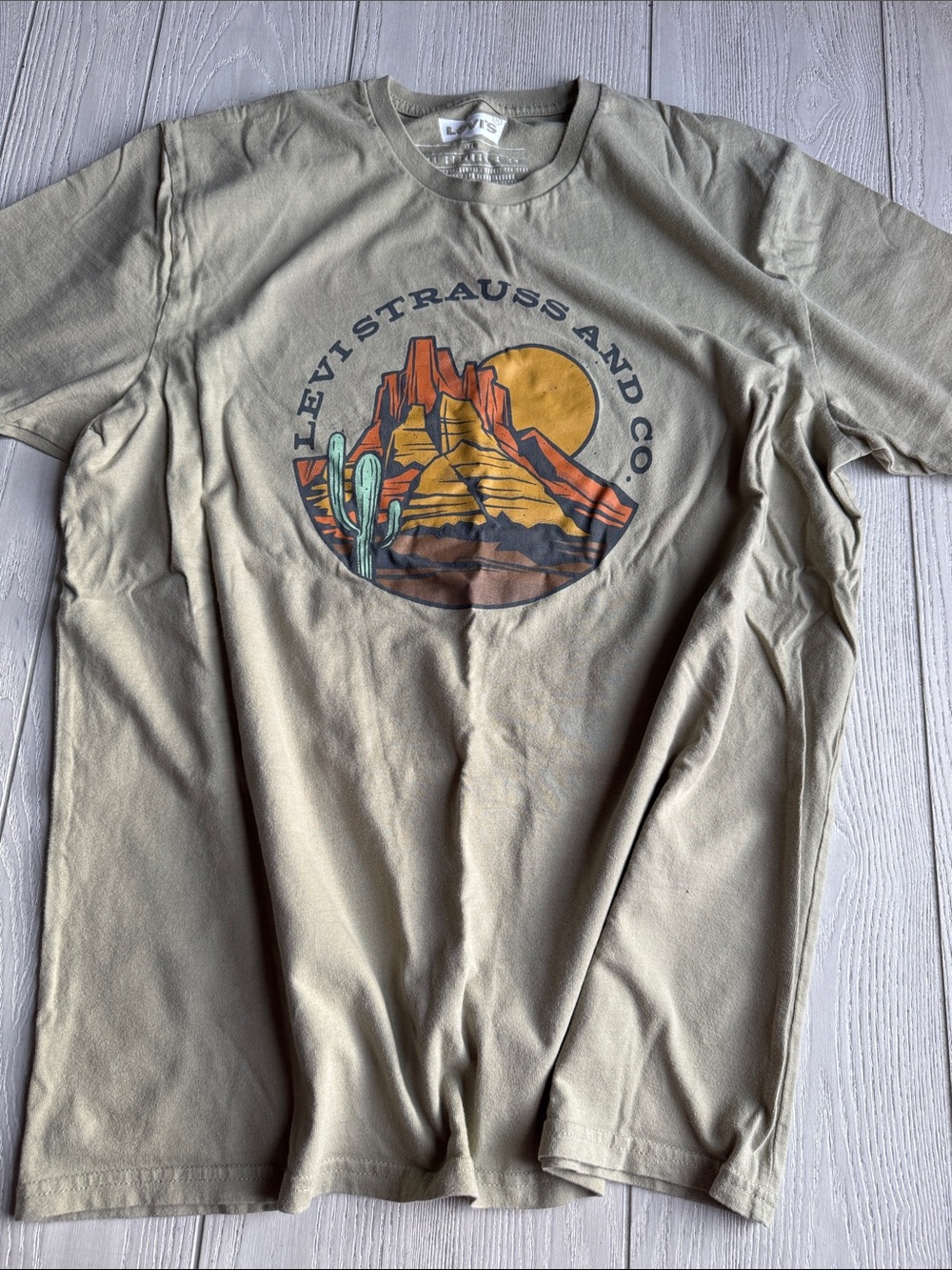 XL Men’s Levi’s T-shirt, sage green